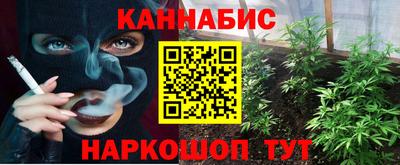 a pvp Гусь-Хрустальный