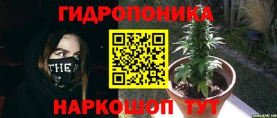 соль курить ск Гусев
