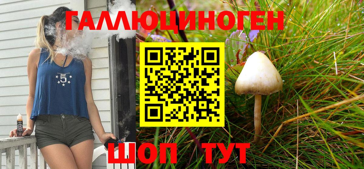 Михайловка  Галлюциногенные грибы ЛСД  дарнет шоп  Вход с VPN 